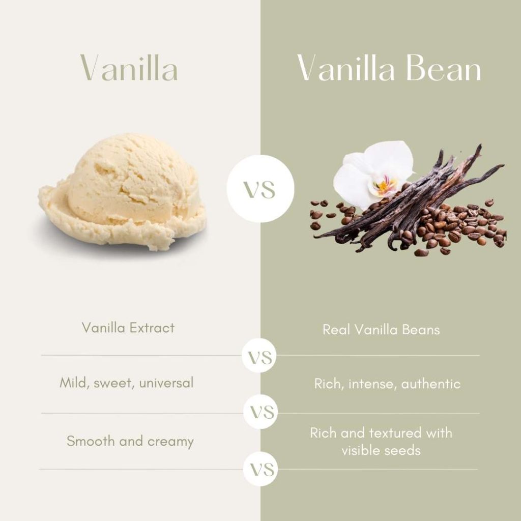 Vanilla vs Vanilla Bean Ice Cream Differences