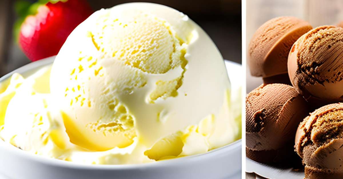 Vanilla vs Vanilla Bean Ice Cream